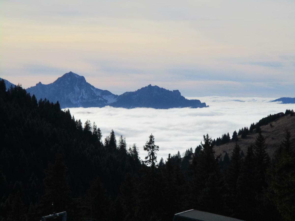Chalet Le Telemark Thollon-les-Memises Kültér fotó