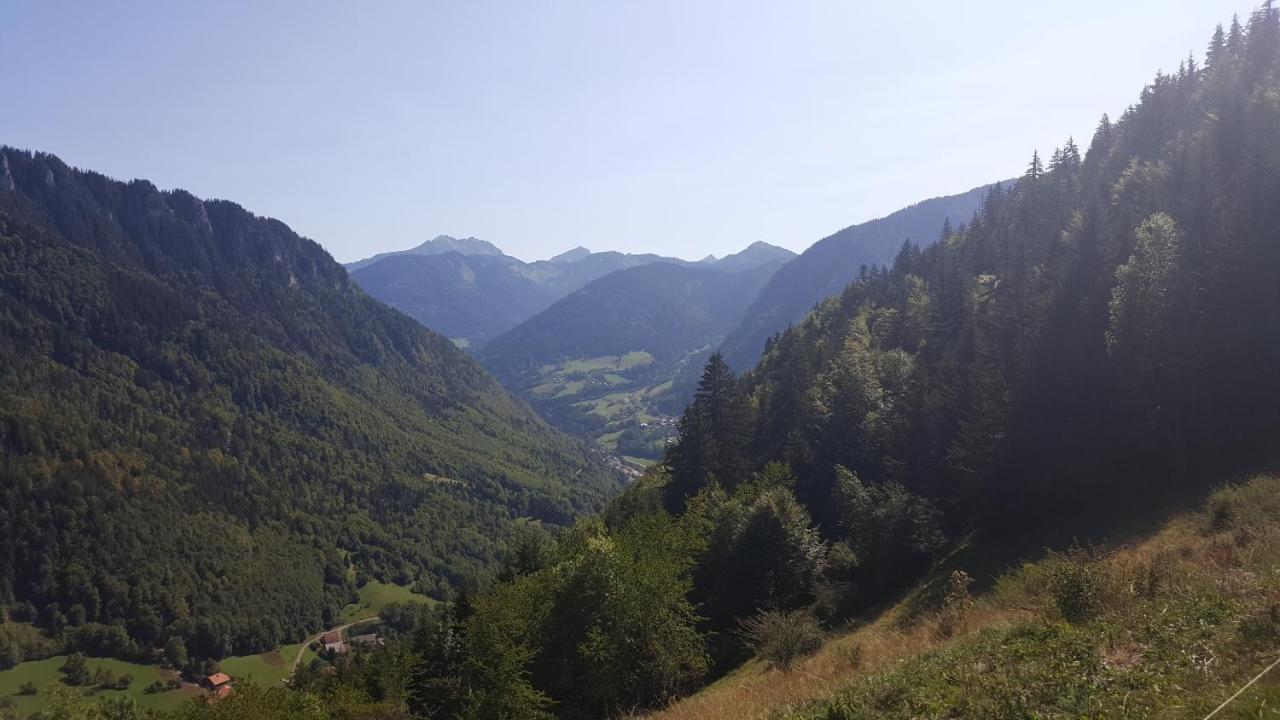 Chalet Le Telemark Thollon-les-Memises Kültér fotó